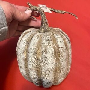 New Decorative 8” Rustic White Birch White Pumpkin - Home Holiday Accent